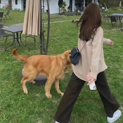 鹦鹉老妈